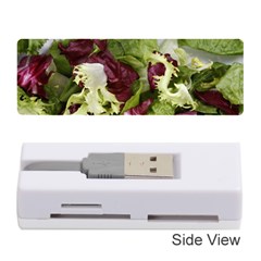 Salad Lettuce Vegetable Memory Card Reader (stick) by Sapixe