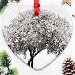 Nature Tree Blossom Bloom Cherry Ornament (heart)