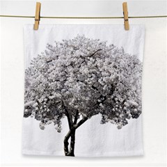 Nature Tree Blossom Bloom Cherry Face Towel by Sapixe