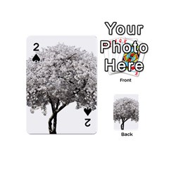 Nature Tree Blossom Bloom Cherry Playing Cards 54 Designs (mini)