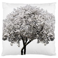 Nature Tree Blossom Bloom Cherry Large Cushion Case (one Side)