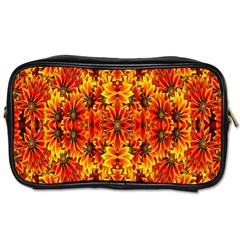 Ab 110 Toiletries Bag (one Side) by ArtworkByPatrick