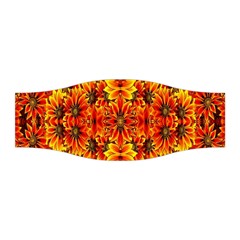 Ab 110 Stretchable Headband by ArtworkByPatrick