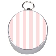 Pastel Pink Stripes Silver Compasses by mccallacoulture