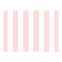 Pastel Pink Stripes Double Sided Flano Blanket (mini)  by mccallacoulture