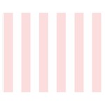 Pastel Pink Stripes Double Sided Flano Blanket (Medium)  60 x50  Blanket Front