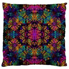 Ab 118 Large Cushion Case (two Sides) by ArtworkByPatrick