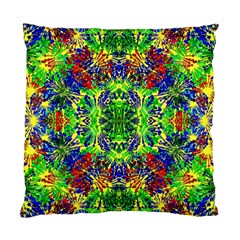 Ab 118 1 Standard Cushion Case (two Sides) by ArtworkByPatrick