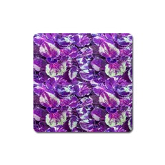 Botanical Violet Print Pattern 2 Square Magnet