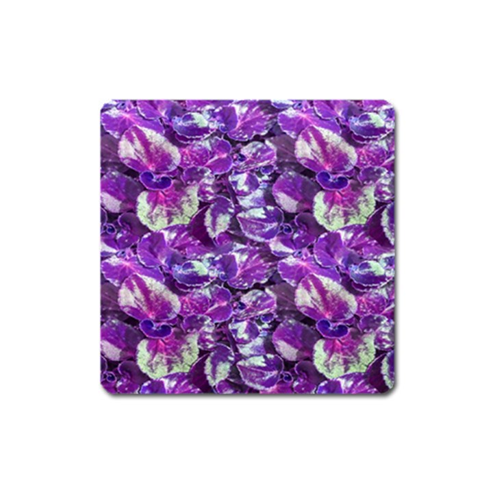 Botanical Violet Print Pattern 2 Square Magnet