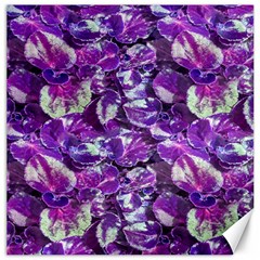 Botanical Violet Print Pattern 2 Canvas 16  X 16  by dflcprintsclothing