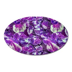 Botanical Violet Print Pattern 2 Oval Magnet by dflcprintsclothing