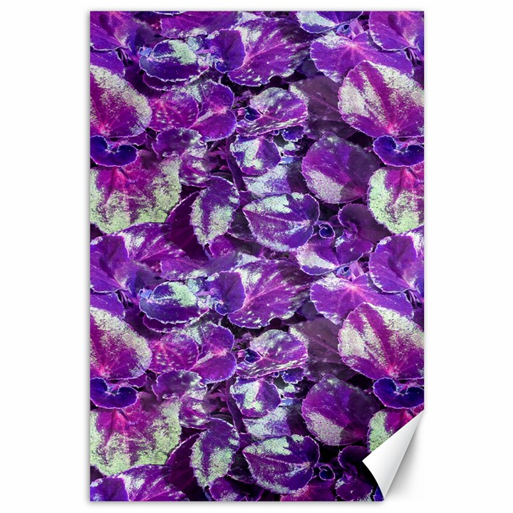 Botanical Violet Print Pattern 2 Canvas 12  x 18 