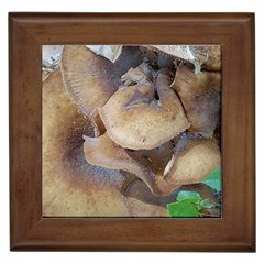 Close Up Mushroom Abstract Framed Tile by Fractalsandkaleidoscopes