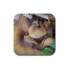 Close Up Mushroom Abstract Rubber Coaster (square)  by Fractalsandkaleidoscopes