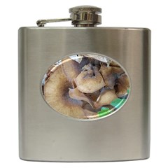 Close Up Mushroom Abstract Hip Flask (6 Oz) by Fractalsandkaleidoscopes