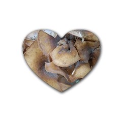 Close Up Mushroom Abstract Heart Coaster (4 Pack)  by Fractalsandkaleidoscopes