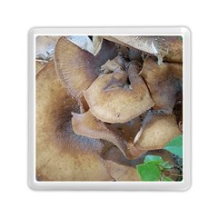 Close Up Mushroom Abstract Memory Card Reader (square) by Fractalsandkaleidoscopes