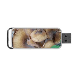 Close Up Mushroom Abstract Portable Usb Flash (two Sides) by Fractalsandkaleidoscopes