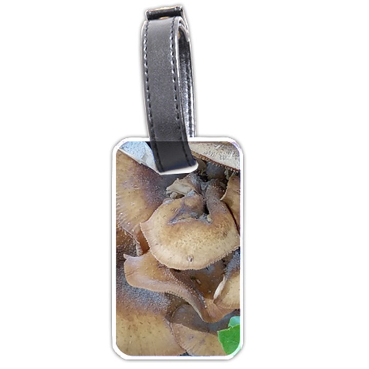 Close Up Mushroom Abstract Luggage Tag (one side)