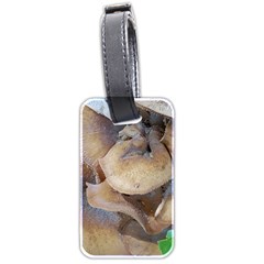 Close Up Mushroom Abstract Luggage Tag (two Sides) by Fractalsandkaleidoscopes