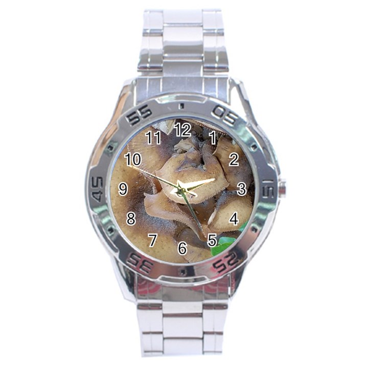 Close Up Mushroom Abstract Stainless Steel Analogue Watch