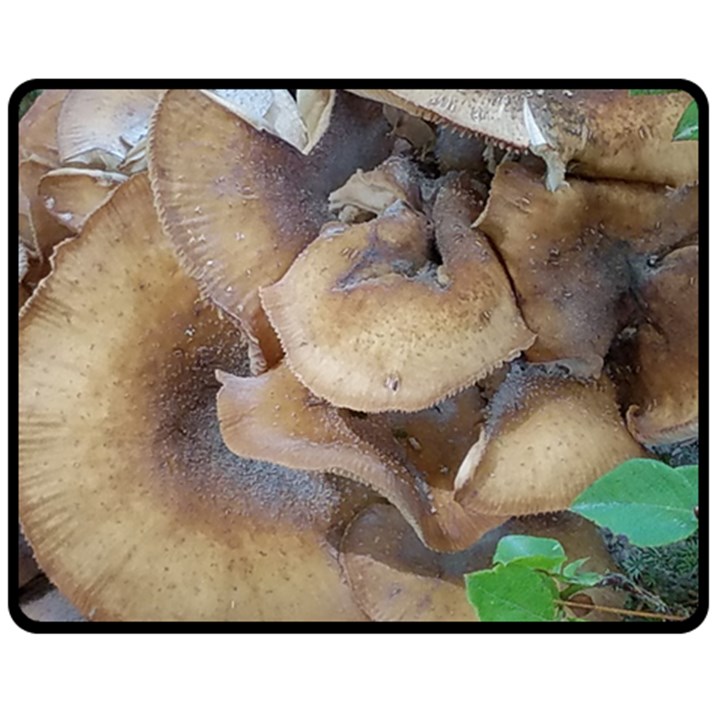 Close Up Mushroom Abstract Double Sided Fleece Blanket (Medium) 