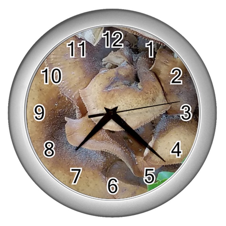 Close Up Mushroom Abstract Wall Clock (Silver)