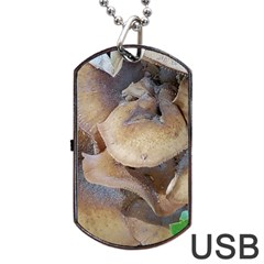 Close Up Mushroom Abstract Dog Tag Usb Flash (two Sides) by Fractalsandkaleidoscopes