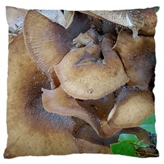 Close Up Mushroom Abstract Standard Flano Cushion Case (one Side) by Fractalsandkaleidoscopes