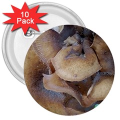 Close Up Mushroom Abstract 3  Buttons (10 Pack)  by Fractalsandkaleidoscopes