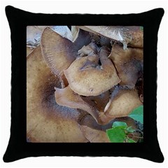 Close Up Mushroom Abstract Throw Pillow Case (black) by Fractalsandkaleidoscopes