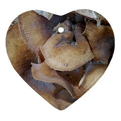 Close Up Mushroom Abstract Heart Ornament (two Sides) by Fractalsandkaleidoscopes