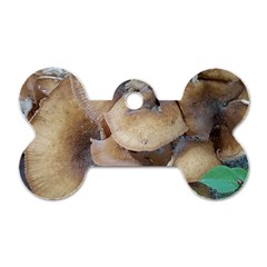 Close Up Mushroom Abstract Dog Tag Bone (two Sides) by Fractalsandkaleidoscopes