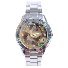 Close Up Mushroom Abstract Stainless Steel Analogue Watch by Fractalsandkaleidoscopes