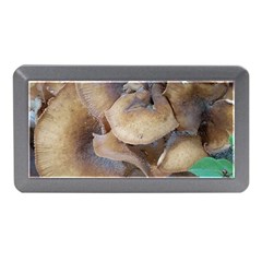 Close Up Mushroom Abstract Memory Card Reader (mini) by Fractalsandkaleidoscopes