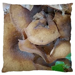 Close Up Mushroom Abstract Large Cushion Case (two Sides) by Fractalsandkaleidoscopes