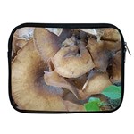 Close Up Mushroom Abstract Apple iPad 2/3/4 Zipper Cases Front