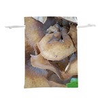 Close Up Mushroom Abstract Lightweight Drawstring Pouch (M) Front