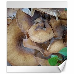 Close Up Mushroom Abstract Canvas 8  X 10  by Fractalsandkaleidoscopes