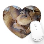 Close Up Mushroom Abstract Heart Mousepads Front