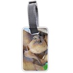 Close Up Mushroom Abstract Luggage Tag (one side) Front