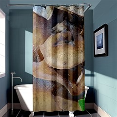 Close Up Mushroom Abstract Shower Curtain 36  X 72  (stall)  by Fractalsandkaleidoscopes