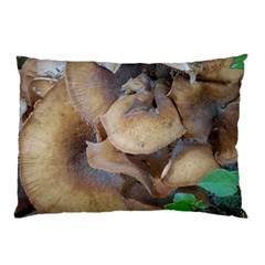 Close Up Mushroom Abstract Pillow Case (two Sides) by Fractalsandkaleidoscopes