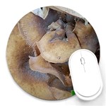 Close Up Mushroom Abstract Round Mousepads Front