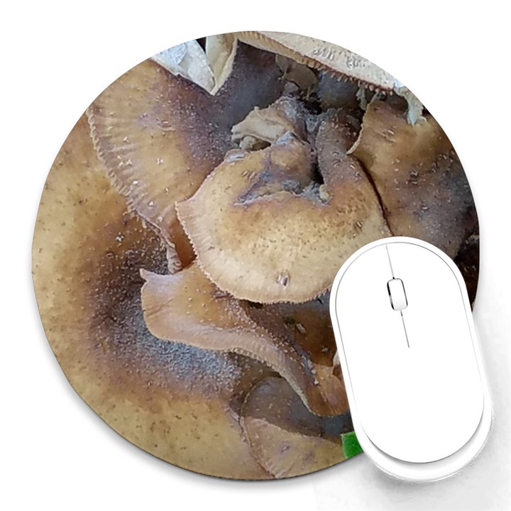 Close Up Mushroom Abstract Round Mousepads