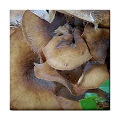 Close Up Mushroom Abstract Tile Coaster by Fractalsandkaleidoscopes