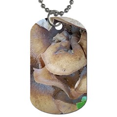 Close Up Mushroom Abstract Dog Tag (two Sides) by Fractalsandkaleidoscopes