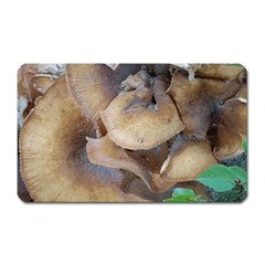 Close Up Mushroom Abstract Magnet (rectangular) by Fractalsandkaleidoscopes