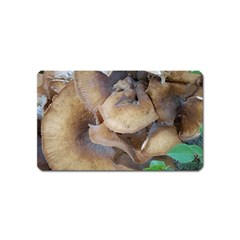 Close Up Mushroom Abstract Magnet (name Card) by Fractalsandkaleidoscopes